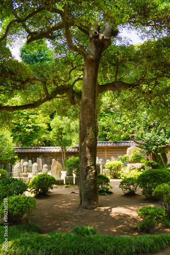 A Japanese cemetery covered in vibrant green foliage with a tree prominently featured.
