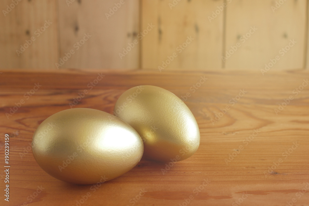 Financial success. Golden Egg on wooden background Financial success. Golden Egg on wooden background