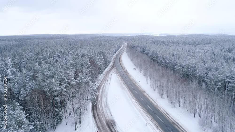 Winter snow covered forest aerial drone video pine tree white woods Belarus fly high road Winter snow covered forest aerial drone video pine tree white woods Belarus fly high road