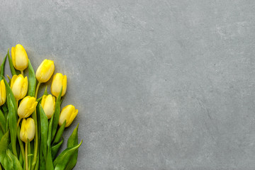 Yellow tulips, spring easter background or anniversary gift for mothers day or card for women's day at 8 march