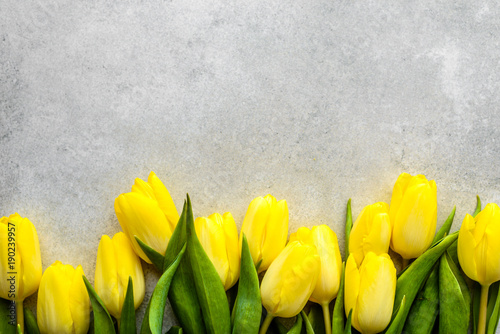 Yellow tulips, spring easter background or anniversary gift for mothers day or card for women's day at 8 march