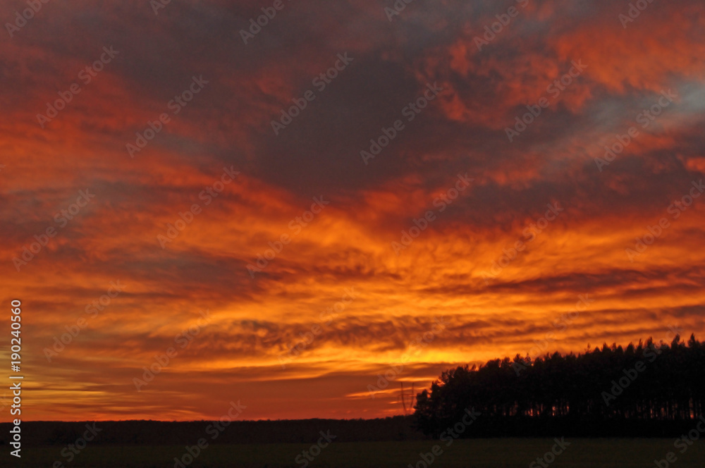 Obraz premium Niebo zalane krwią.