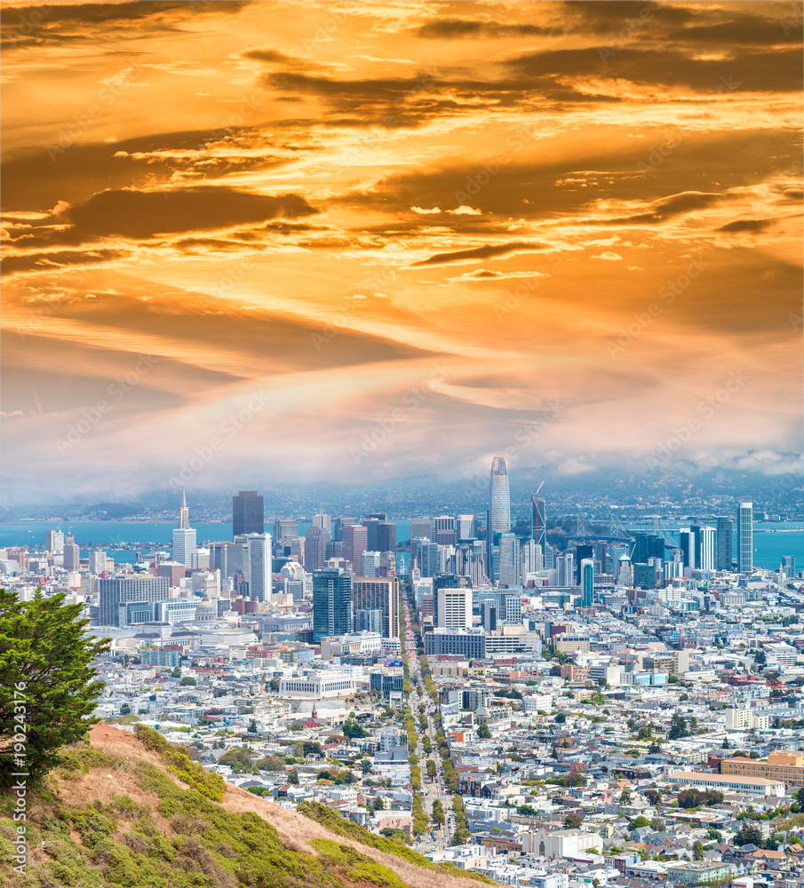 Obraz premium San Francico skyline from Christmas Tree Point