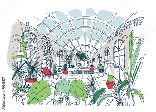 Freehand sketch of interior of greenhouse full of tropical plants. Colorful drawing of glasshouse with palms, exotic trees growing in pots and large panoramic windows. Colored vector illustration.