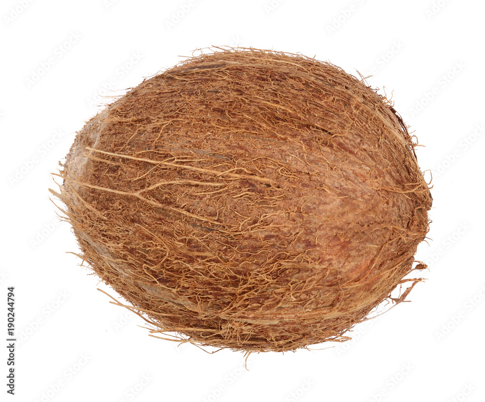 whole coconut isolated on white background. Flat lay. Top view whole coconut isolated on white background. Flat lay. Top view