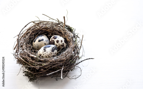 a nest with three quail eggs on a business table 