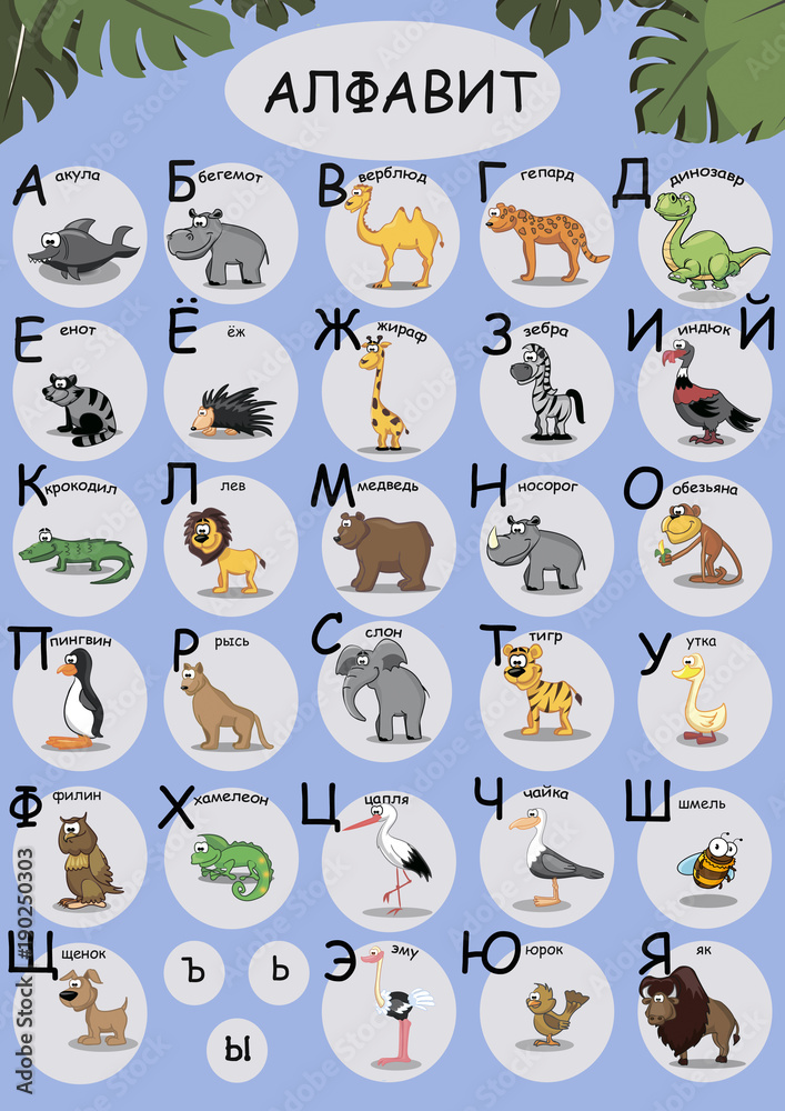 alphabet alphabet
