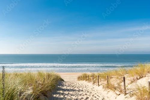 Obraz CAP FERRET (Zatoka Arcachon, Francja), plaża Dunes