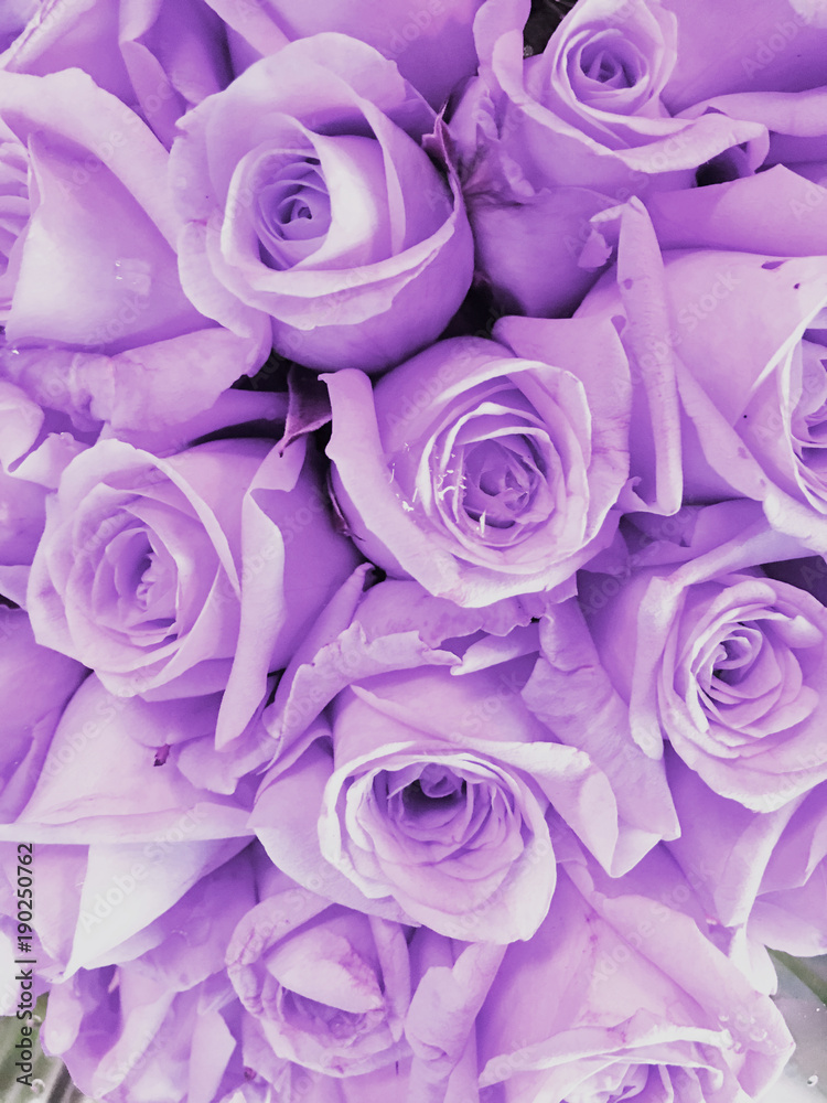 Purple roses in a wedding arrangement Purple roses in a wedding arrangement