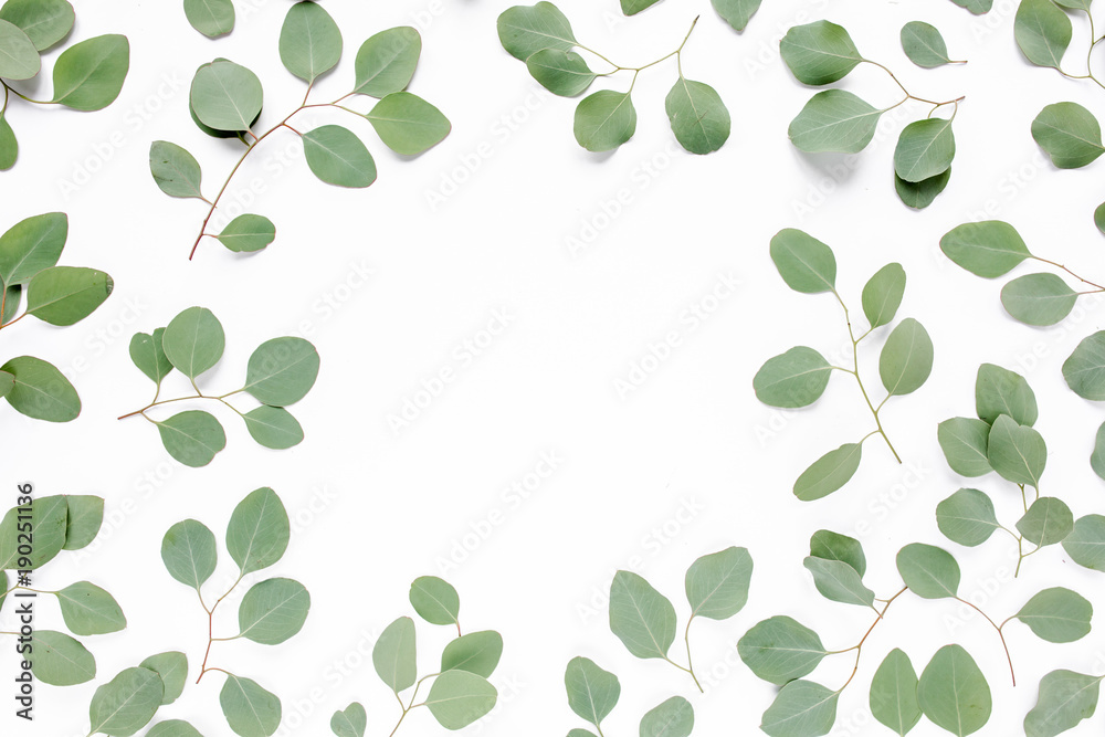 Workplace decorated with green eucalyptus leaves, floral pattern on a white background. The apartment lay, top view. Floral frame. Frame of flowers. Workplace decorated with green eucalyptus leaves, floral pattern on a white background. The apartment lay, top view. Floral frame. Frame of flowers.