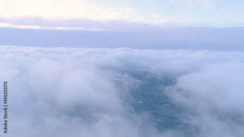 Winter snow covered forest aerial drone video pine tree white woods Belarus fly high above clouds Winter snow covered forest aerial drone video pine tree white woods Belarus fly high above clouds