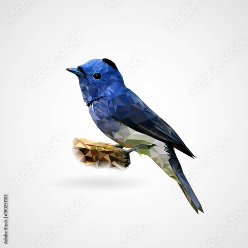 Colorful polygonal bird, Vector, Illustration, Eps File