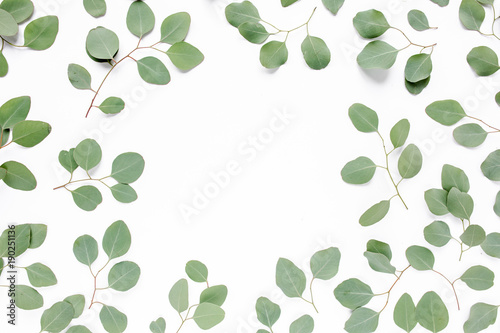 Workplace decorated with green eucalyptus leaves, floral pattern on a white background. The apartment lay, top view. Floral frame. Frame of flowers.