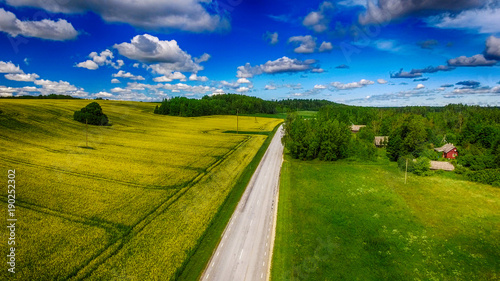 Beautiful road acroos yellow meadows in spring