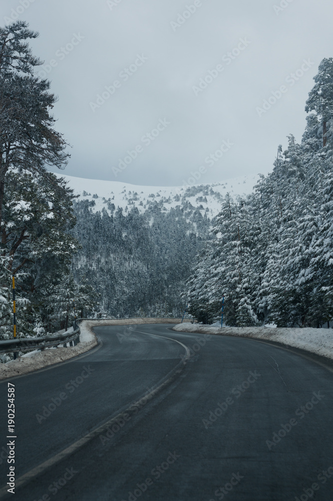 Mountain road between snow-covered woods