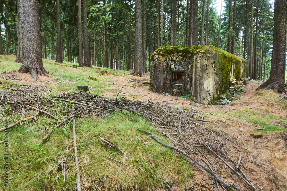 Abandoned bunker (Ropik) hidden deep in the forest. Near Czech Republic - Germany borders
Abandoned bunker (Ropik) hidden deep in the forest. Near Czech Republic - Germany borders