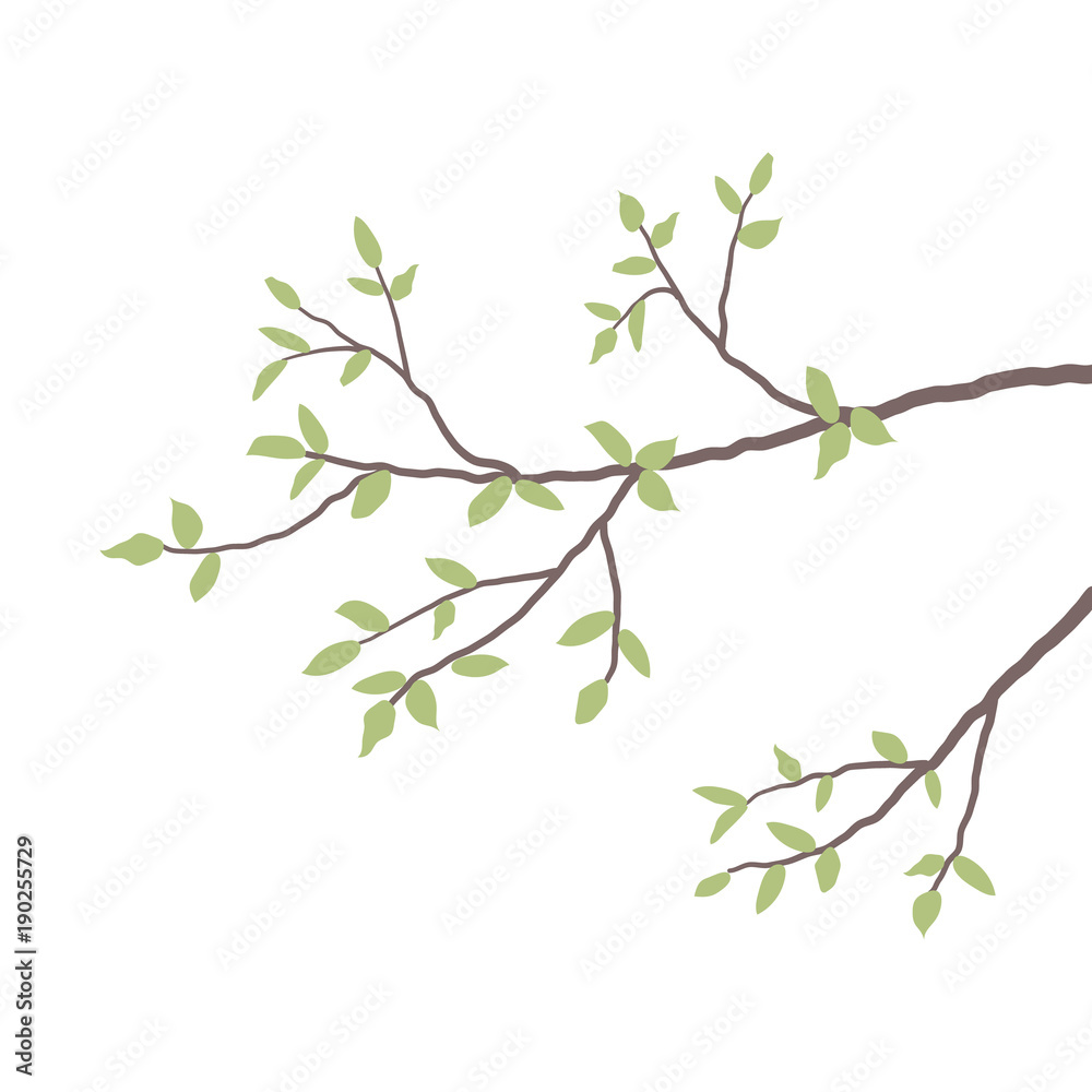 Branch of a tree with green leaves, isolated on a white background. Vector illustration.