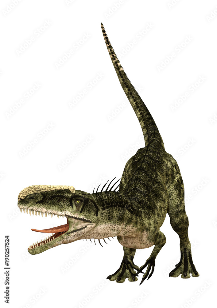 Fototapeta premium 3D Rendering Dinosaur Monolophosaurus on White