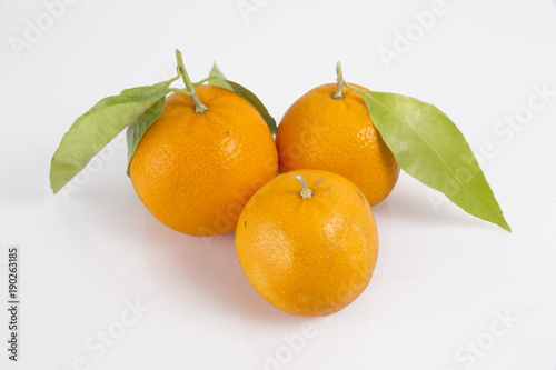 fresh fruit collection oranges isolated on white background.