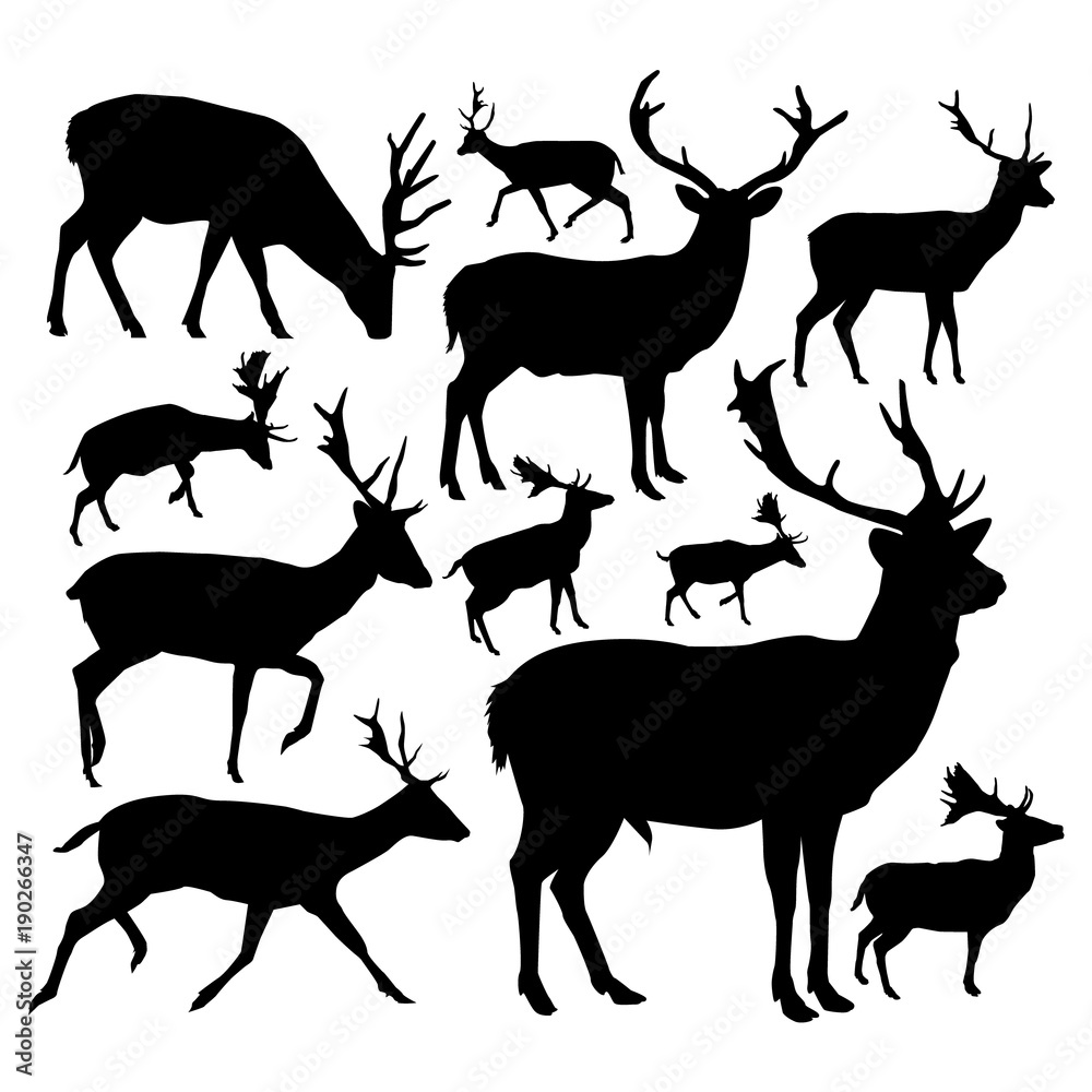 Fototapeta premium Silhouettes of deers.