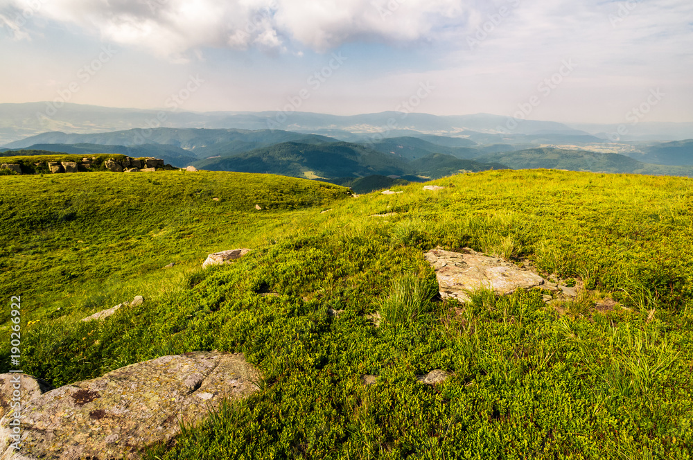 grassy meadow on top of a hill. beautiful summer scenery in mountains