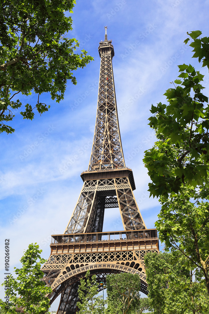 Eiffel tower in the embrace of nature