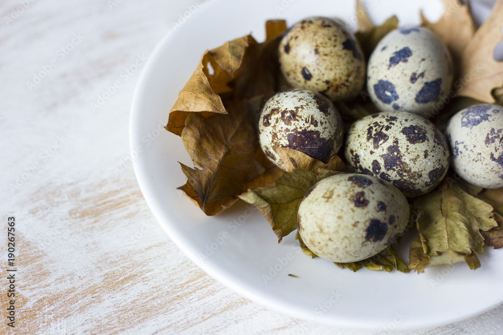 Quail eggs in a coffee cup and a bird nest with leaves on a white wooden background Quail eggs in a coffee cup and a bird nest with leaves on a white wooden background