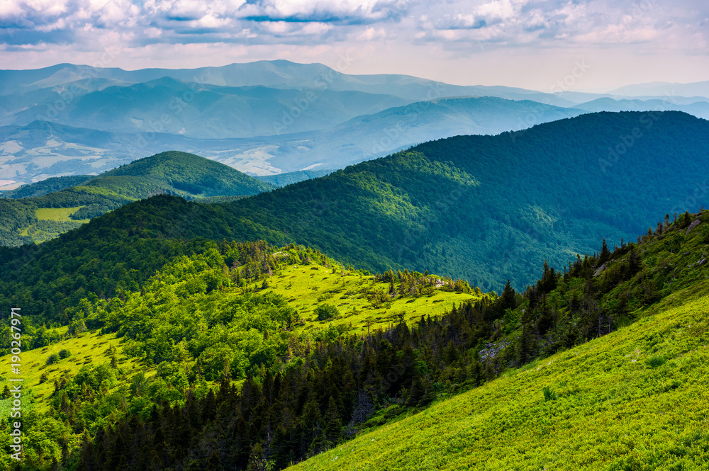 mountainous landscape with forested hills. beautiful summer scenery on a cloudy day
