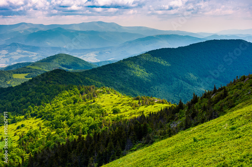 mountainous landscape with forested hills. beautiful summer scenery on a cloudy day © Pellinni