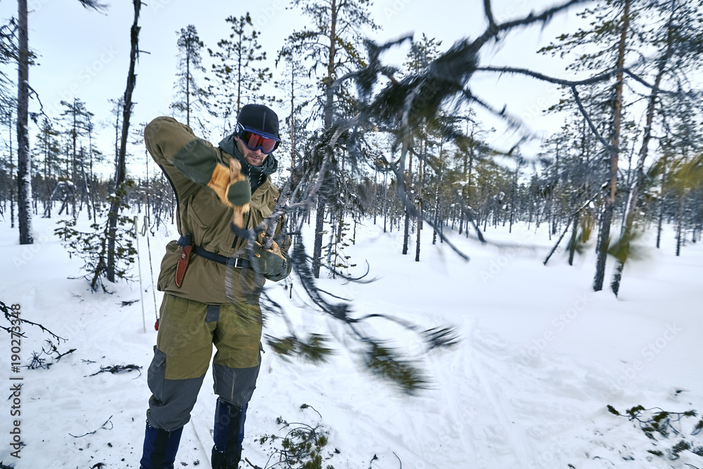 Young man in outdoors clothes cuts an spruce branch with an ax in the forest on the far north of Sweden