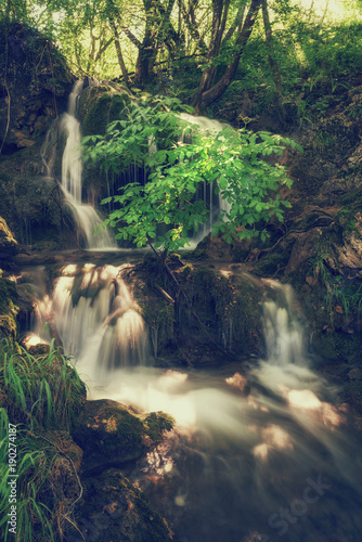 Beautiful waterfall in summer green dark forest  Plitvice Lakes National park  Croatia. Vertical image