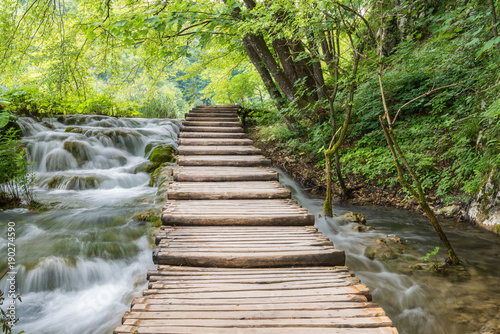 Plitvice Lakes National park  tourist route on the boardwalk along streams and waterfalls. Green summer landscape  famous landmark in Croatia