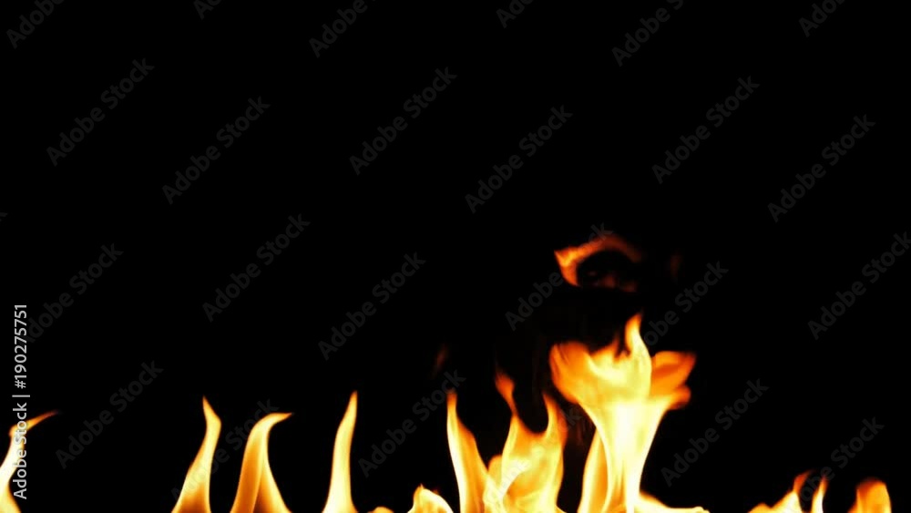 Fire Flames Igniting And Burning - Slow Motion. A line of real flames ignite on a black background. Will look great in any fire or grill project. Real fire. Transparent background. PNG + Alpha Fire Flames Igniting And Burning - Slow Motion. A line of real flames ignite on a black background. Will look great in any fire or grill project. Real fire. Transparent background. PNG + Alpha