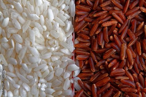 White and wholemeal brown Rice organic texture, Asian uncooked short milled rice as background . The concept of proper nutrition and healthy lifestyle. Top view, close-up as background or texture