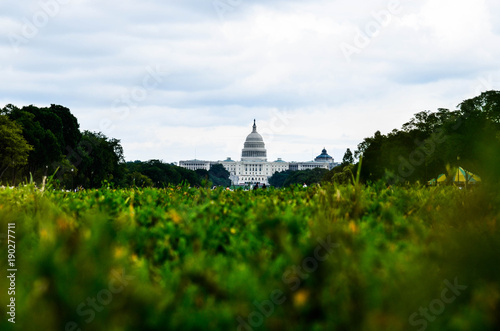 Washington D.C. Impression