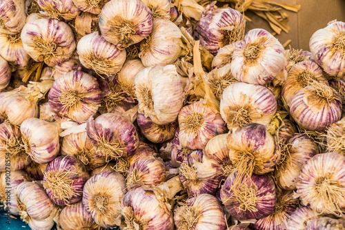 Heap of fresh garlic bulbs in street market. Food background.