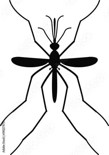 Mosquito Black Vector
