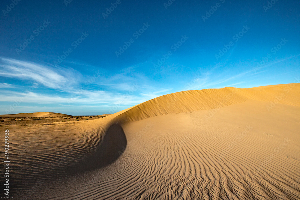 Naklejka premium Dune Tarfaya