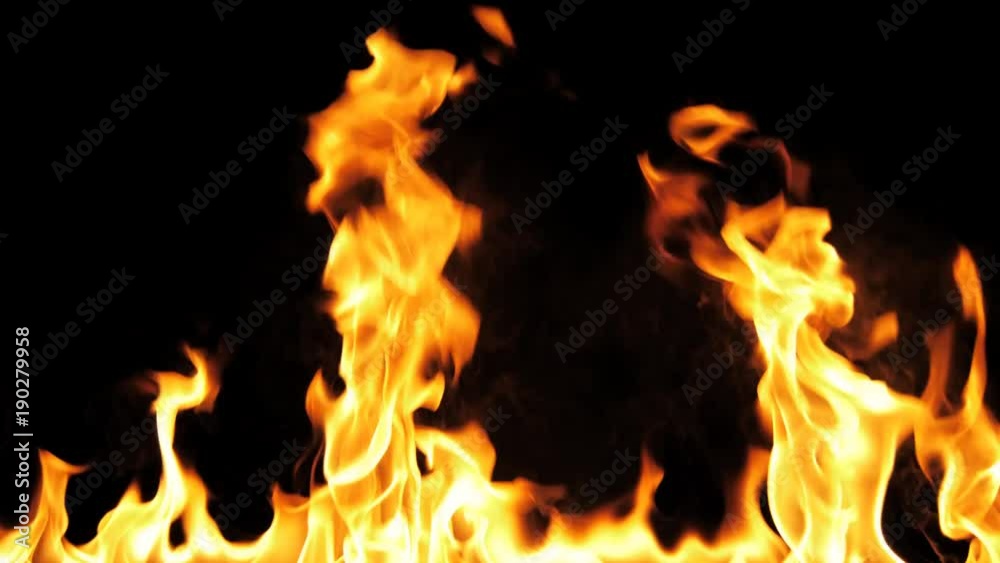 Fire Flames Igniting And Burning - Slow Motion. A line of real flames ignite on a black background. Will look great in any fire or grill project. Real fire. Transparent background. PNG + Alpha Fire Flames Igniting And Burning - Slow Motion. A line of real flames ignite on a black background. Will look great in any fire or grill project. Real fire. Transparent background. PNG + Alpha
