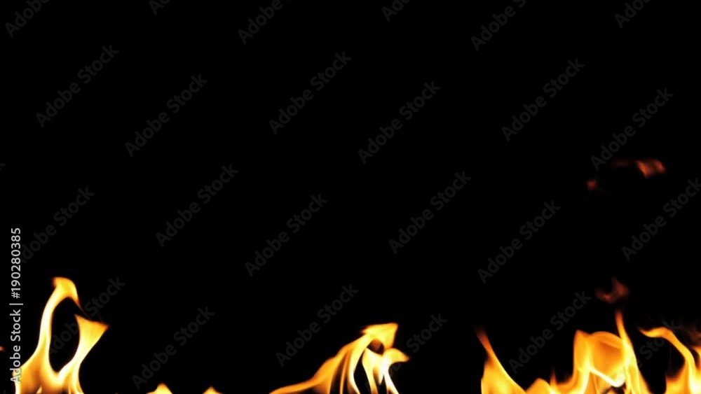 Fire Flames Igniting And Burning - Slow Motion. A line of real flames ignite on a black background. Will look great in any fire or grill project. Real fire. Transparent background. PNG + Alpha Fire Flames Igniting And Burning - Slow Motion. A line of real flames ignite on a black background. Will look great in any fire or grill project. Real fire. Transparent background. PNG + Alpha
