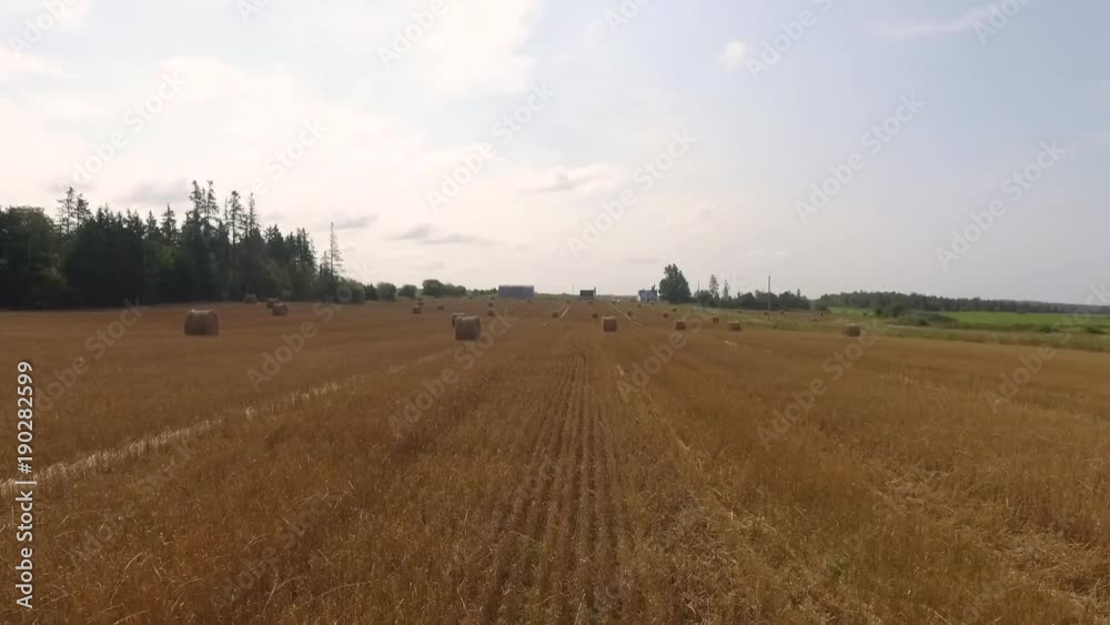Haystacks in field on a sunny day Haystacks in field on a sunny day