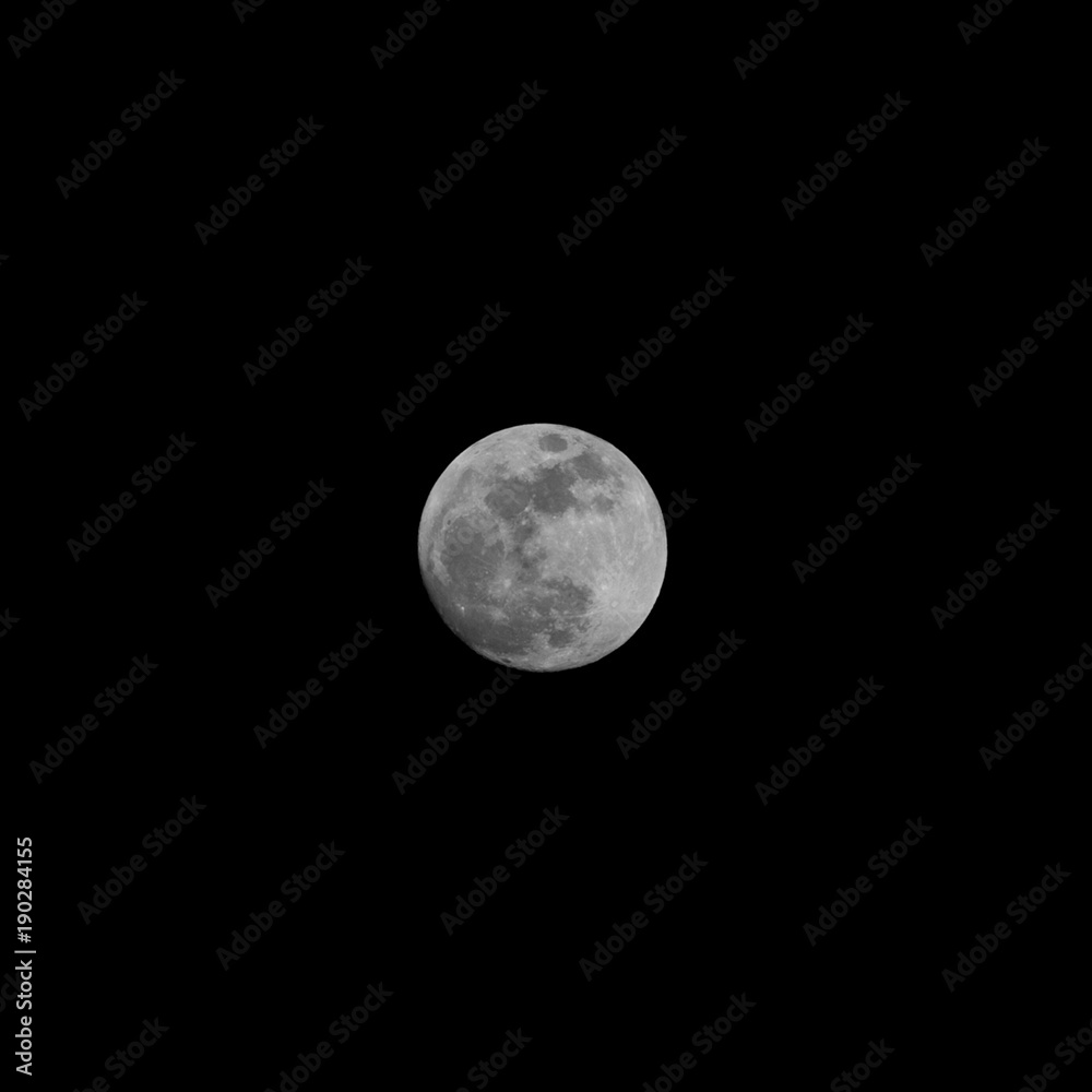Fototapeta premium super full moon at perigee on dark sky
