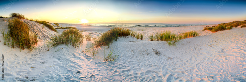 Fototapeta premium Wybrzeże wydmy plaża morze, panorama