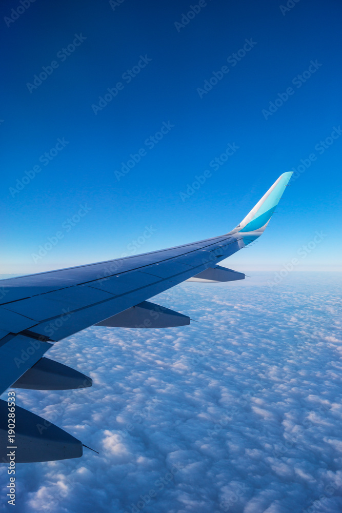 Fototapeta premium Die Welt aus einem Flugzeug
