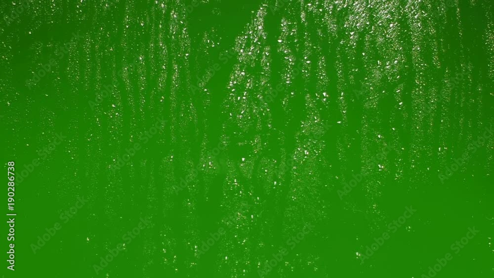 Rain drops on glass. Green screen backround. Chroma key.