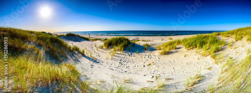 Coast dunes beach sea, panorama