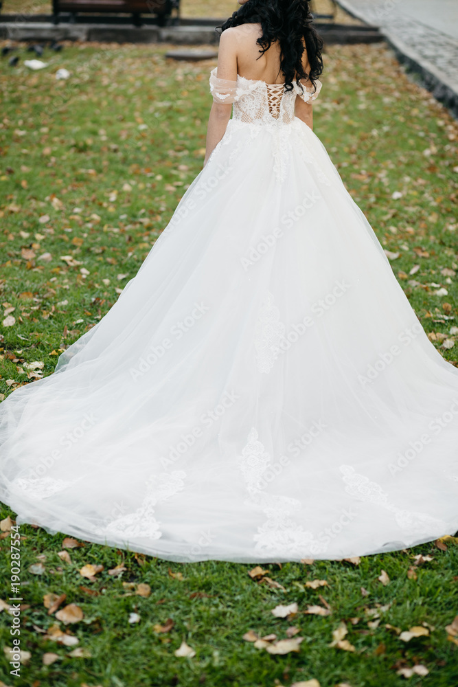 Beautiful bride in elegant white dress  posing