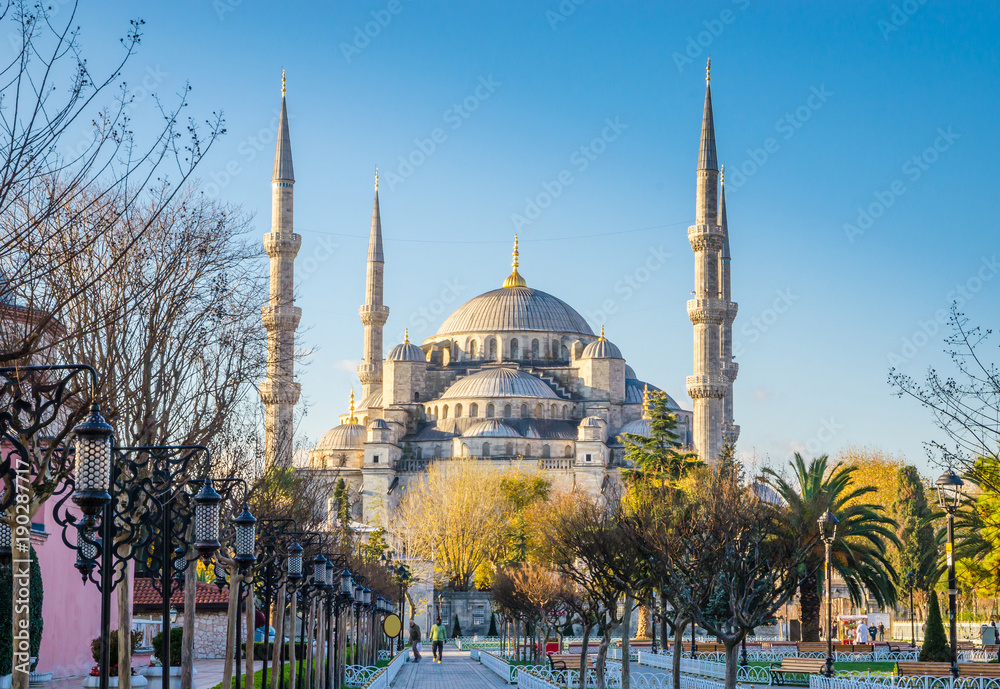 Naklejka premium The Blue Mosque, (Sultanahmet Camii), Istanbul, Turkey.