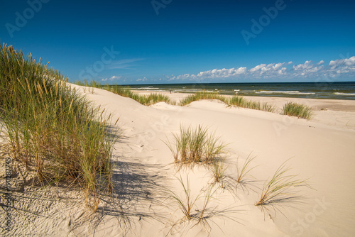 Fototapeta Naklejka Na Ścianę i Meble -  Coast dunes beach sea, panorama