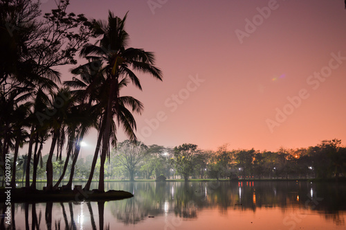 Amazing sunset views with coconut and reflection at Vachirabenjatas Park in thailand